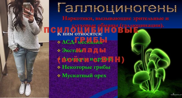 apvp Алексин