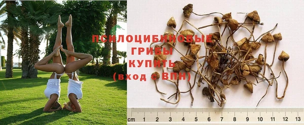 apvp Алексин