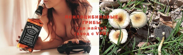 не бодяженный Осинники